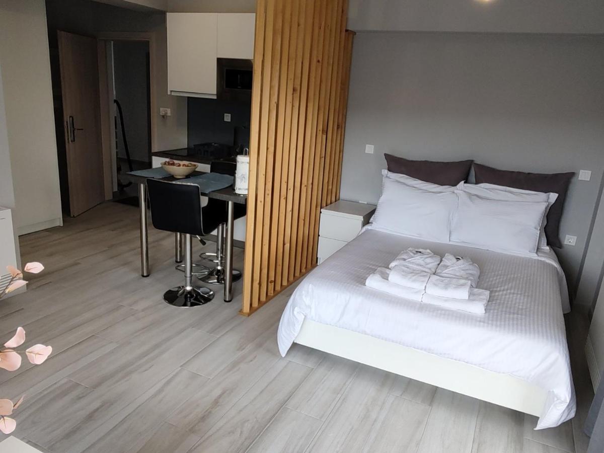 Different Apartments Ioannina Extérieur photo