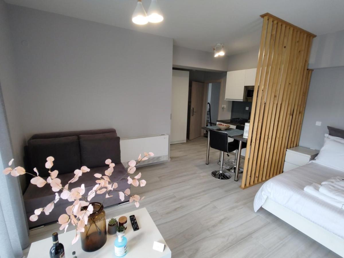 Different Apartments Ioannina Extérieur photo